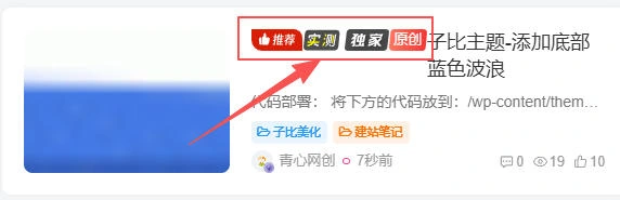 文章标题自定义文字或图标前缀-青心网创站测试